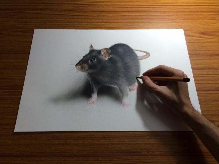 Meet 3D Drawing Expert Sushant, His Creativity Will Amaze You