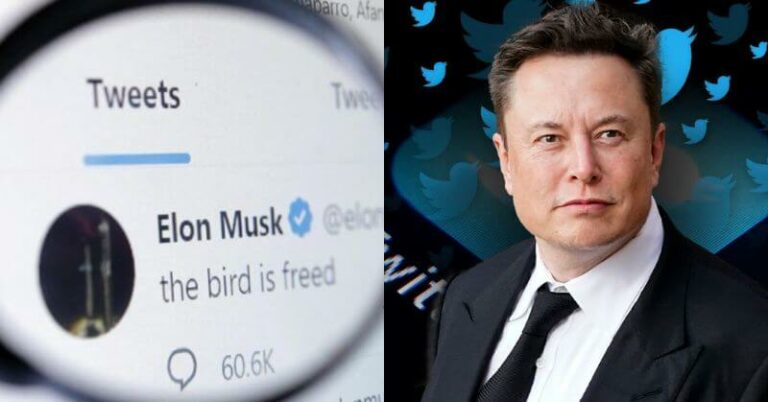 Elon Musk Reveals Twitter Users Can Get Blue Tick And Other Benefits For Usd 8 Per Month 4156