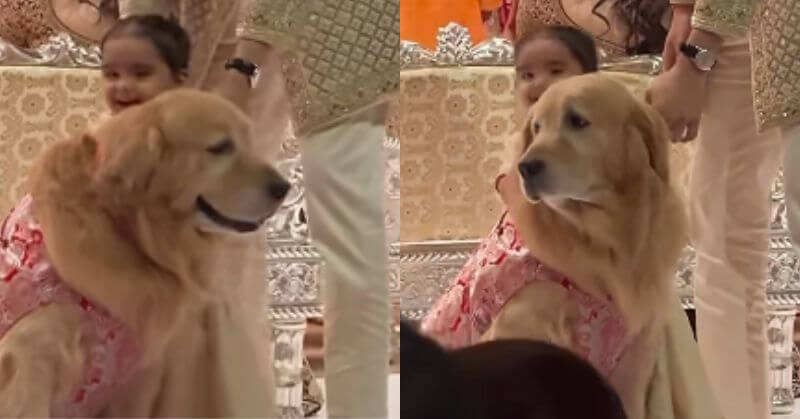 Ambani's Dog