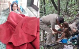 Lalita Kayi 50-Year-Old Woman Maharashtra Forest