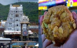 Tirupati Laddoo Row Animal Fat