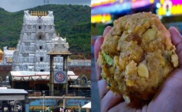 Tirupati Laddoo Row Animal Fat