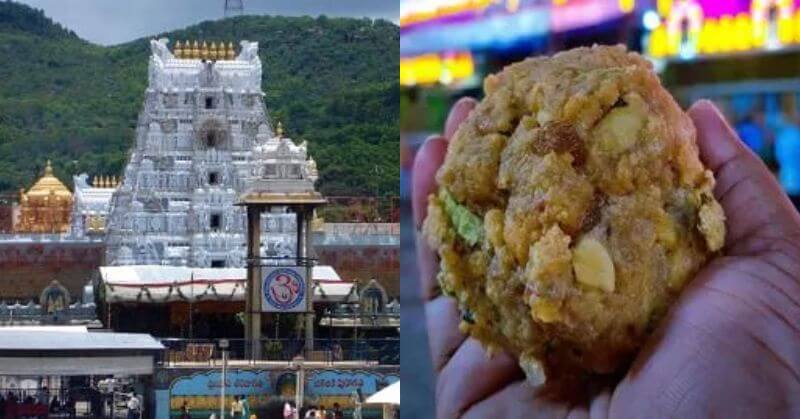 Tirupati Laddoo Row Animal Fat