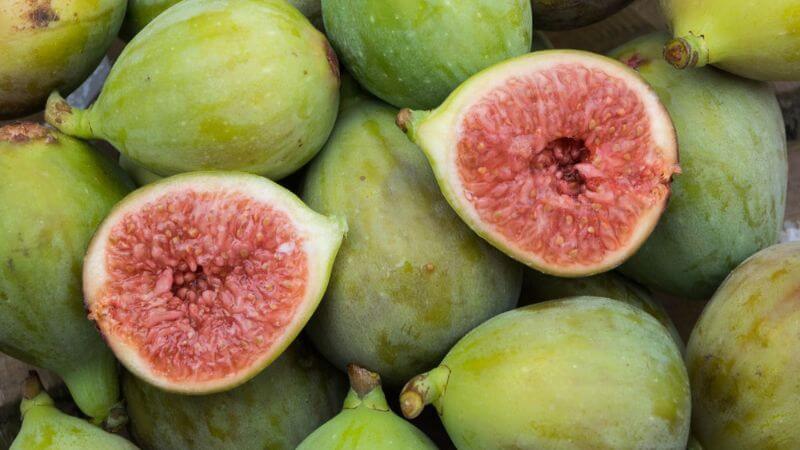 Fig