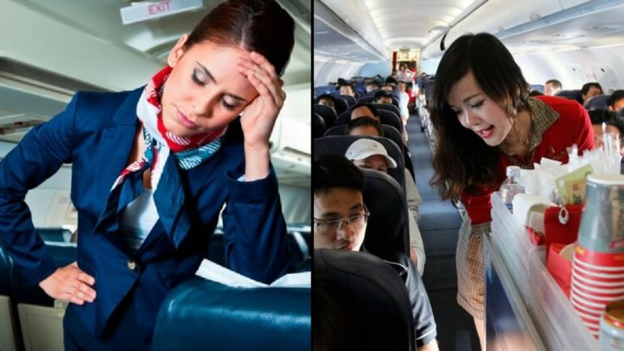 Air Hostesses Revealed Their Unpleasant Experiences In A Survey