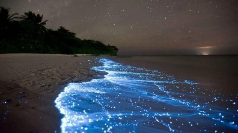 These Incredible Places In India That Glow In The Dark