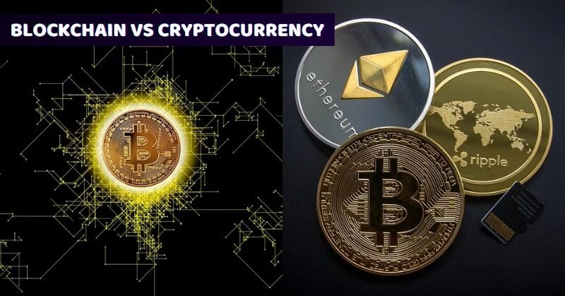 Blockchain Vs Cryptocurrency: Everything You Need To Know About It