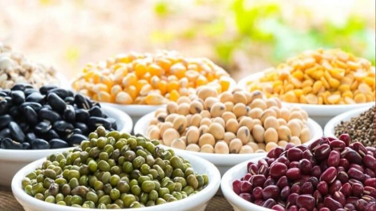 High Protein Vegetarian Foods That You Should Start Including In Your Diet